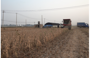 ޻�ǅ^(q��)�r(n��ng)�I(y��)�r(n��ng)��������r(n��ng)��ƌW(xu��)�Nֲ������푡�����38���S�𶹷N��Ʒ��