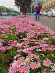 ʯ���f5�l·Ҫ�N40�N�� ���~�ݿ���Ҋ�݌���Ʒ�N