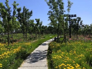 ���@ô����ȥ����˛���������Ȼ���@ô�����M(f��i)��ȥ̎��