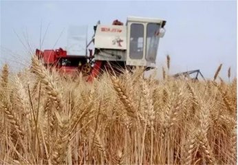 �_(k��i)��ˣ����������ӵĈ�(ch��ng)����Ҳ�����@ô����