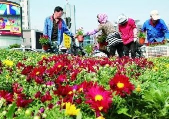 35�f���r�������n�е��Ѕ^(q��)���^