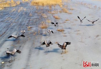 �ӱ��с��󺮕r(sh��)��(ji��)���Q�����]