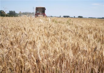 �ӱ��ļZ�ի@�ӽ�β