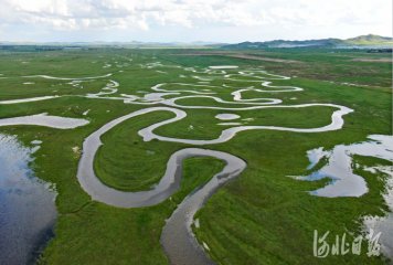 �ӱ����ҿڣ�������ԭ��