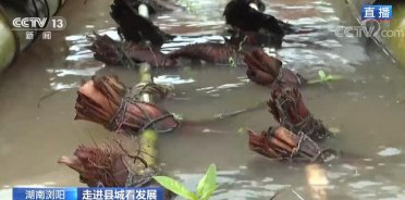 ���M�h�ǿ��l(f��)չ | ɽˮ�g�������gꖎ��o�˂��M�M�Ҹ���