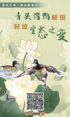 �Ƿ�ʮ�ꡤ�ӱ�������ح���^�����l�F(xi��n) Ҋ�C���B(t��i)֮׃