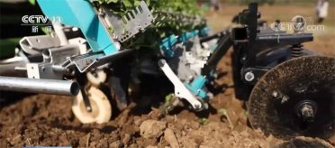 ��ߙC(j��)е���ԷN�� �����Ͳ˷Nֲ��Ч���