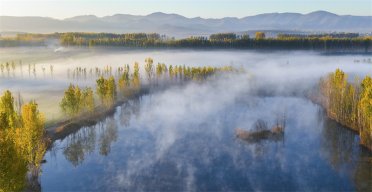 Ԋ(sh��)���Ї�(gu��)������ɫ�B�������Ϻ�����