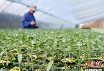 �Ƽ����������ӱ��C��ӆ������æ